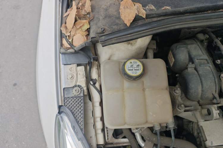 Used Ford Focus 2012 Sedan 1.6L Automatic Comfort Model Engine Bay Right