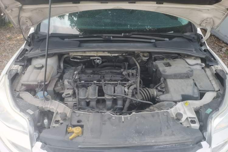 Used Ford Focus 2012 Hatchback 1.6L Manual Fashion Edition Engine Bay