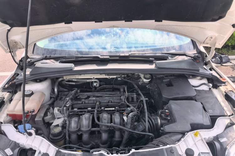 Used Ford Focus 2012 Sedan 1.6L Automatic Fashion Edition Engine Bay