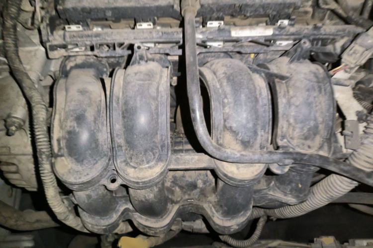 Used Ford Focus 2012 Sedan 1.6L Manual Fashion Edition Engine Bay