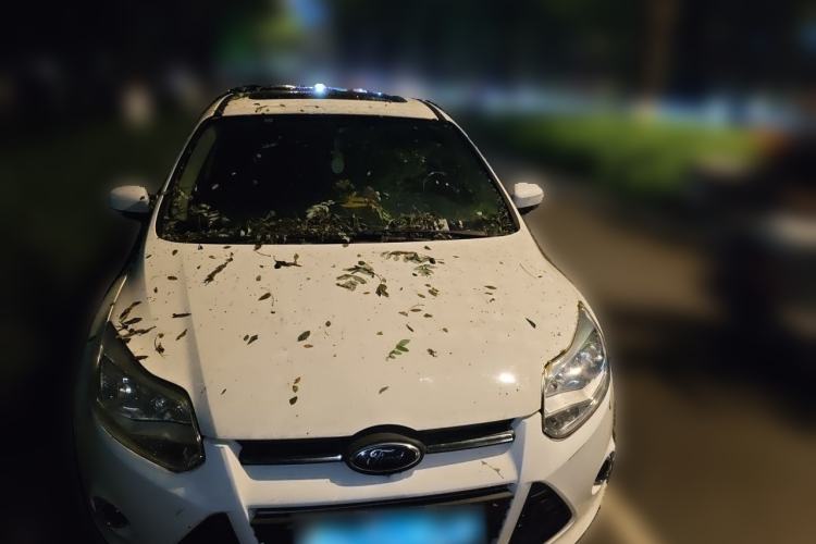 Used Ford Focus 2012 Sedan 1.6L Manual Fashion Edition Front