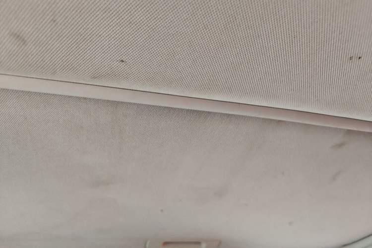 Used Ford Focus 2012 Sedan 1.6L Automatic Fashion Edition Headliner