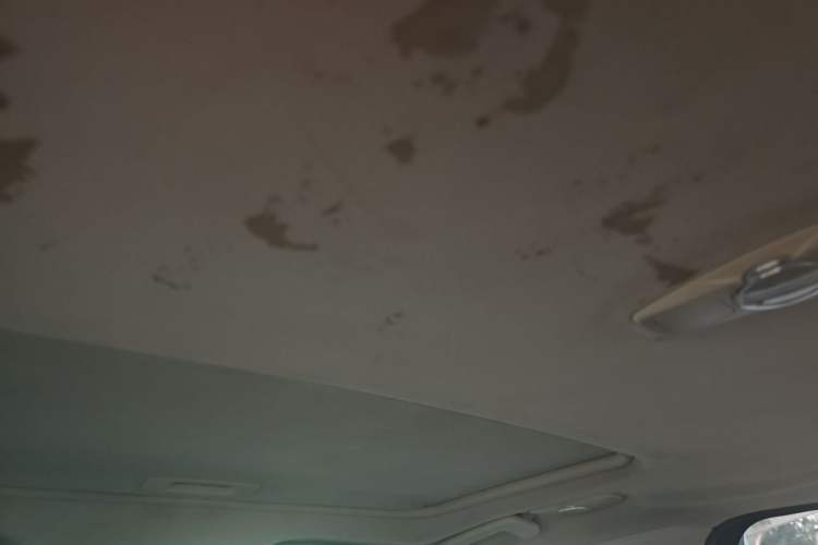 Used Ford Focus 2012 Sedan 1.6L Automatic Fashion Edition Headliner