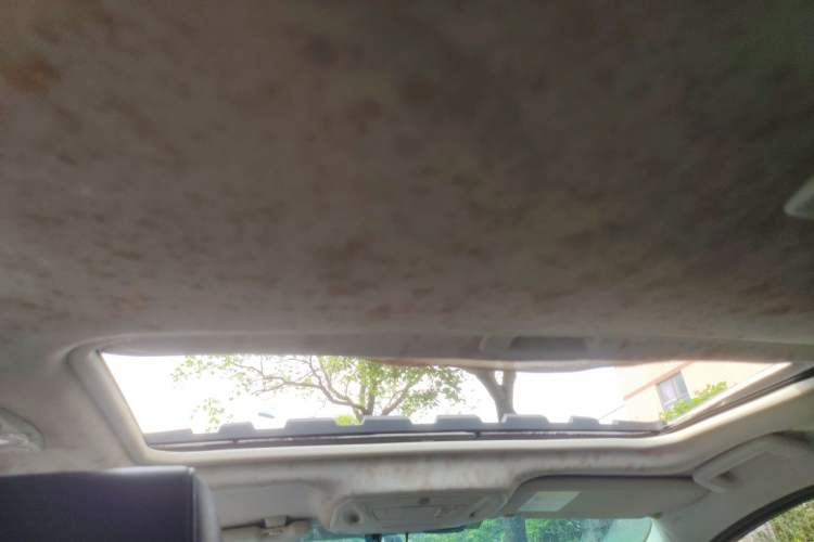 Used Ford Focus 2012 Hatchback 1.6L Automatic Fashion Edition Headliner