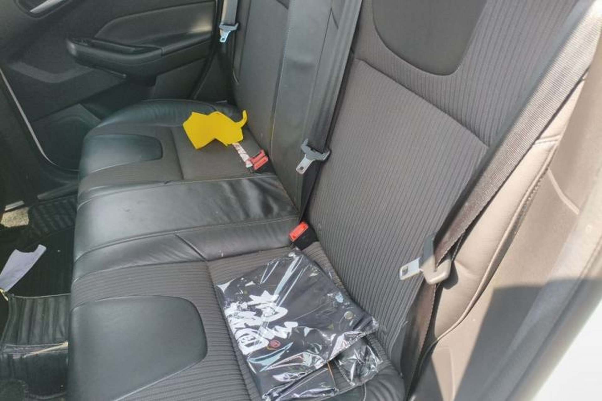 Used Ford Focus 2012 Sedan 1.6L Automatic Fashion Edition Left Rear Seat