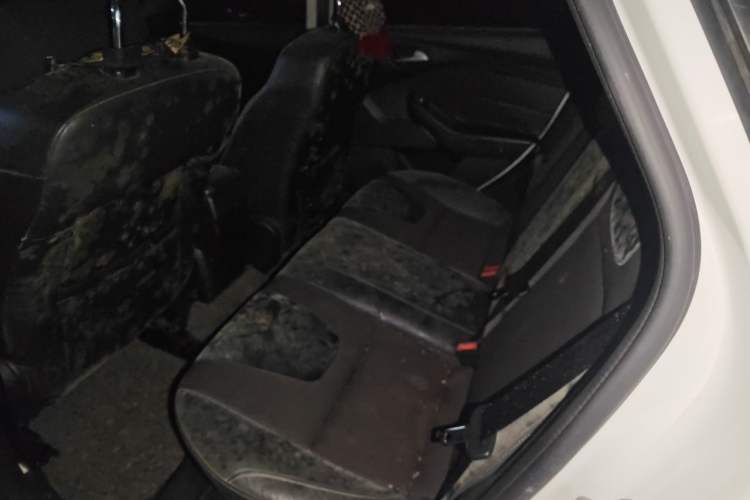 Used Ford Focus 2012 Sedan 1.6L Automatic Fashion Edition Left Rear Seat