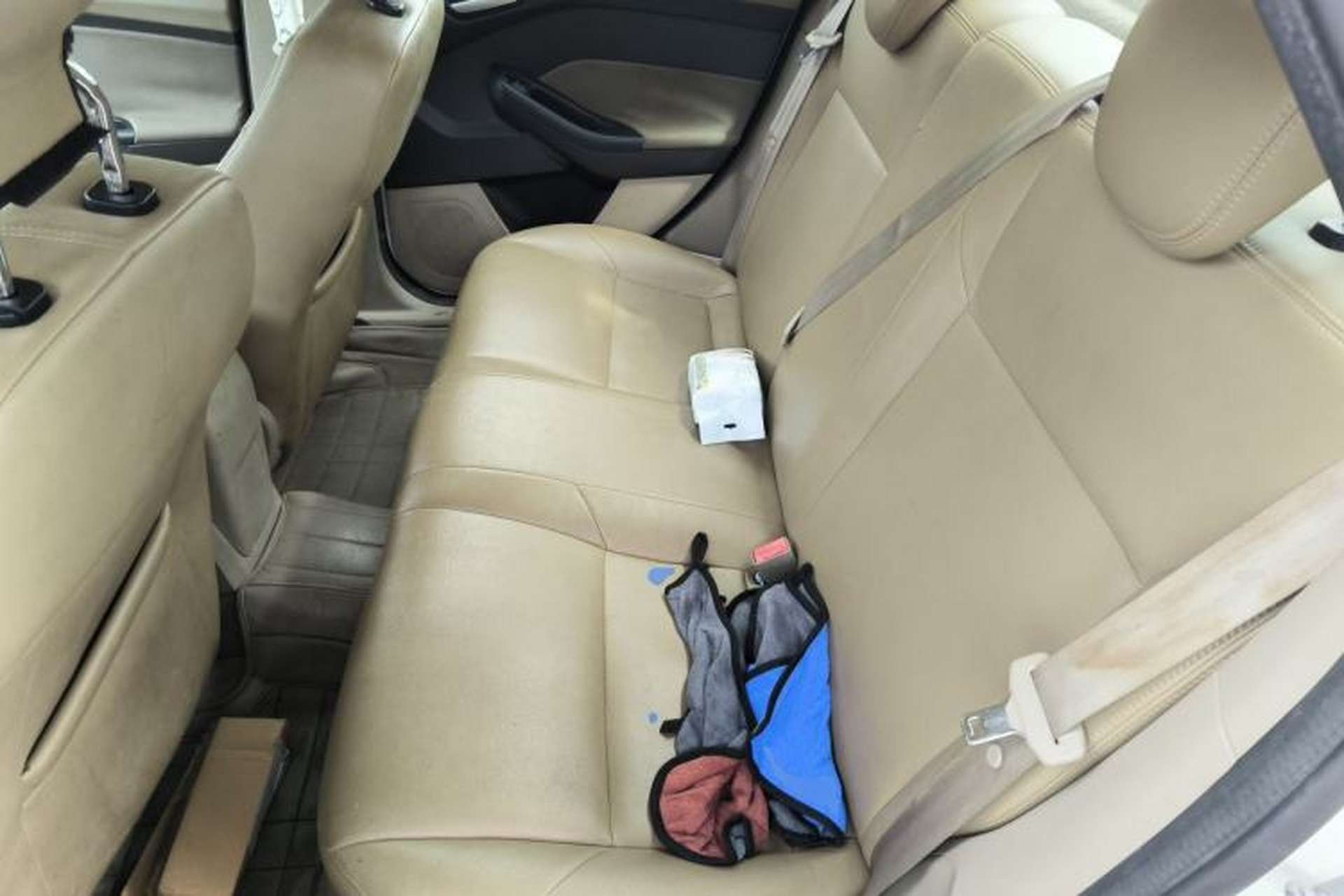 Used Ford Focus 2012 Sedan 1.6L Automatic Comfort Model Left Rear Seat