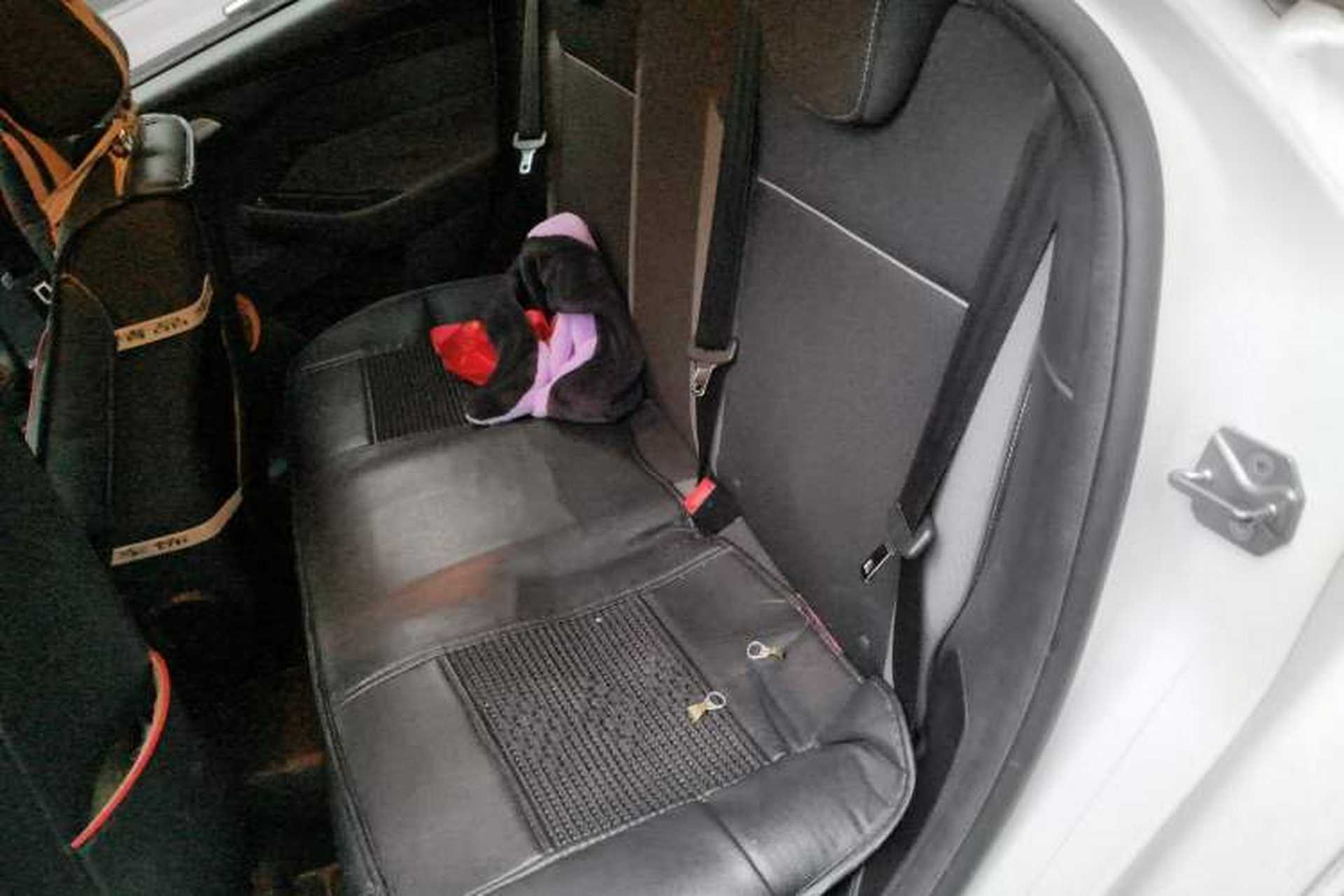 Used Ford Focus 2012 Hatchback 1.6L Automatic Comfort Model Left Rear Seat