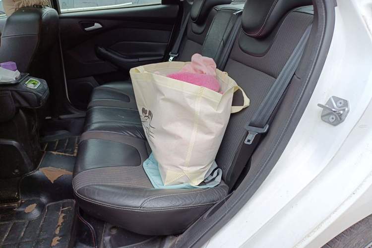 Used Ford Focus 2012 Sedan 1.6L Manual Fashion Edition Left Rear Seat