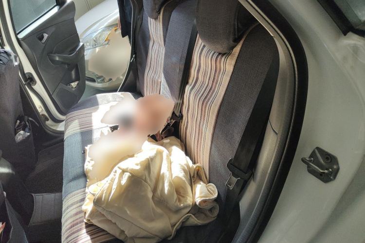 Used Ford Focus 2012 Sedan 1.6L Automatic Fashion Edition Left Rear Seat