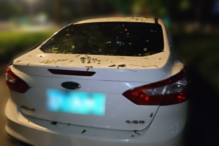 Used Ford Focus 2012 Sedan 1.6L Manual Fashion Edition Rear