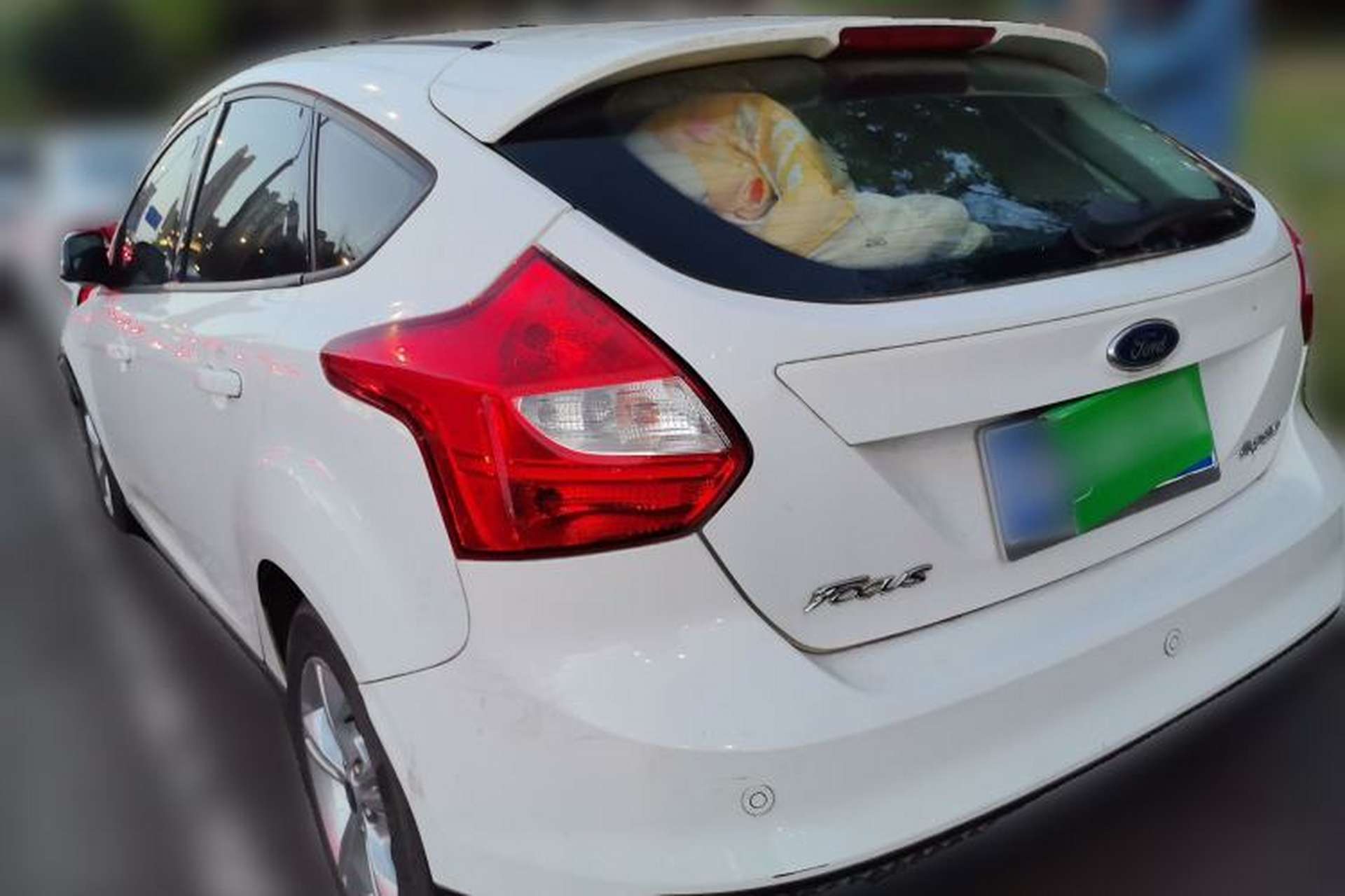 Used Ford Focus 2012 Hatchback 1.6L Manual Fashion Edition Rear Left 45 Deg