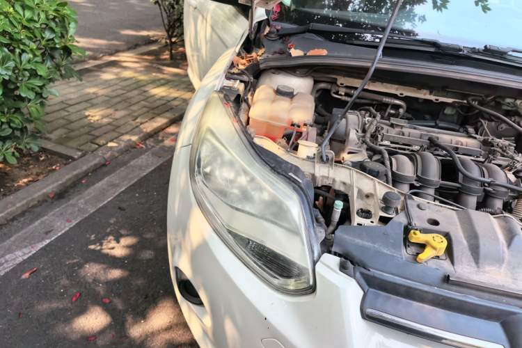 Used Ford Focus 2012 Hatchback 1.6L Automatic Comfort Model Right Front Headlight