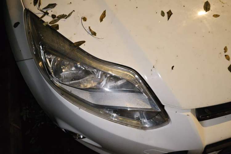 Used Ford Focus 2012 Sedan 1.6L Manual Fashion Edition Right Front Headlight