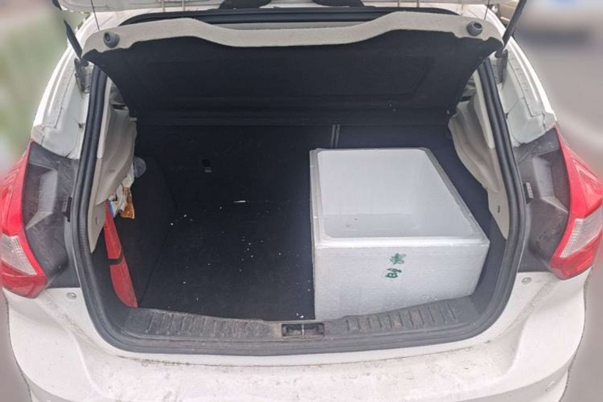Used Ford Focus 2012 Hatchback 1.6L Automatic Fashion Edition Trunk