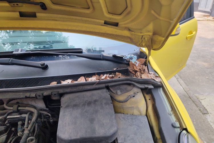 Used Ford Focus 2012 Hatchback Classic 1.8L Automatic Base Model Engine Bay Left