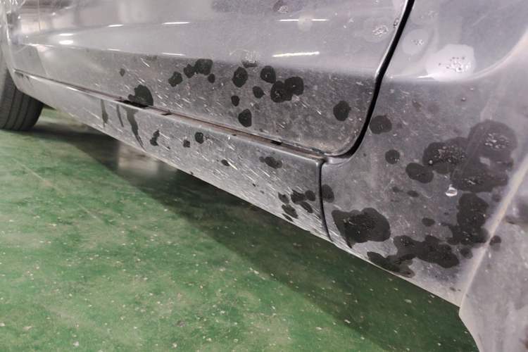 Used Ford Focus 2013 Sedan Classic 1.8L Automatic Base Model Right Side Sill