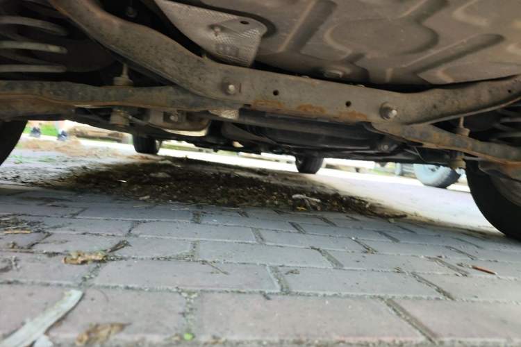 Used Ford Focus 2013 Hatchback Classic 1.8L Automatic Base Model Chassis Rear