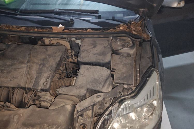 Used Ford Focus 2013 Hatchback Classic 1.8L Automatic Fashion Edition Engine Bay Left