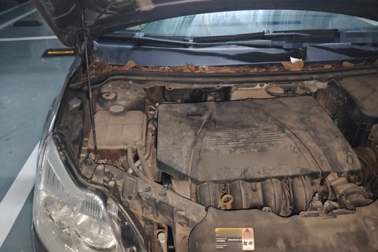 Used Ford Focus 2013 Hatchback Classic 1.8L Automatic Fashion Edition Engine Bay Right