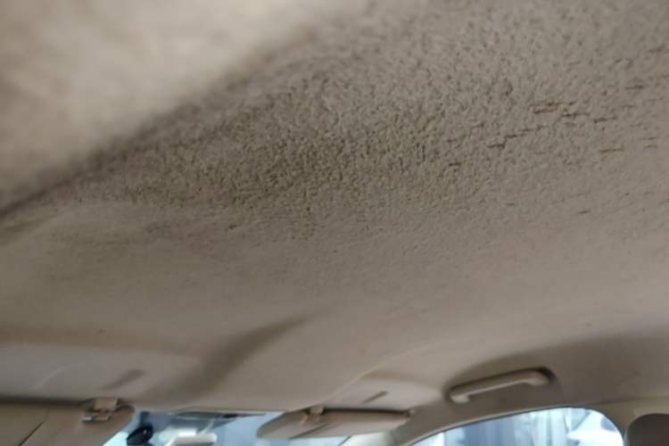 Used Ford Focus 2013 Sedan Classic 1.8L Manual Base Model Headliner