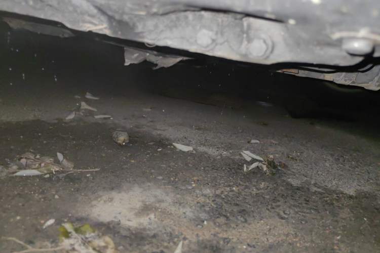 Used Ford Focus 2013 Sedan Classic 1.8L Automatic Base Model Chassis Front Right