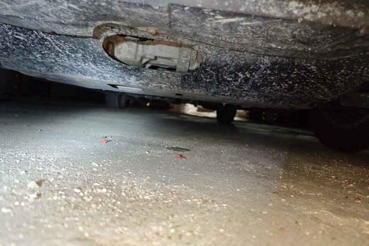 Used Ford Focus 2013 Hatchback Classic 1.8L Automatic Base Model Chassis Front