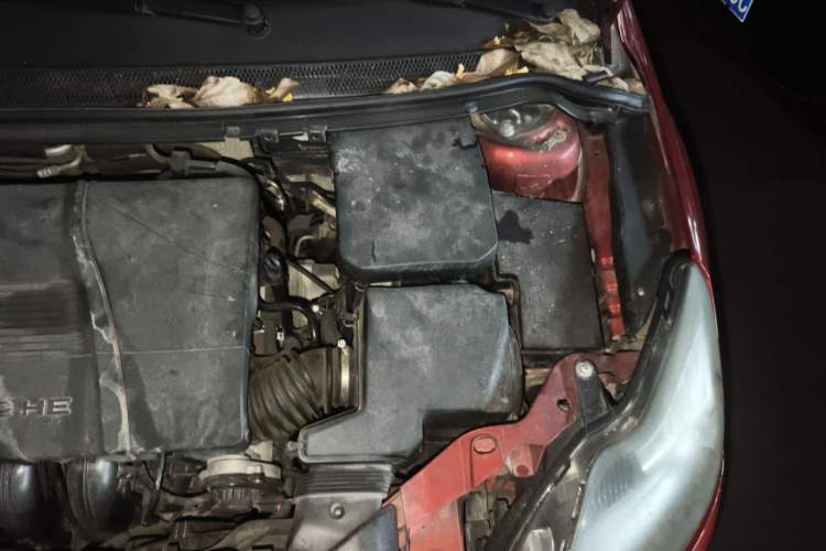 Used Ford Focus 2013 Hatchback Classic 1.8L Automatic Base Model Engine Bay Left