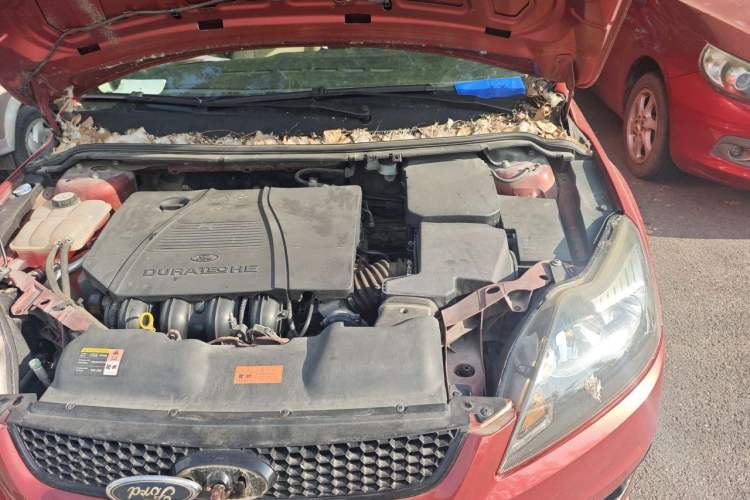 Used Ford Focus 2013 Hatchback Classic 1.8L Manual Fashion Edition Engine Bay Left