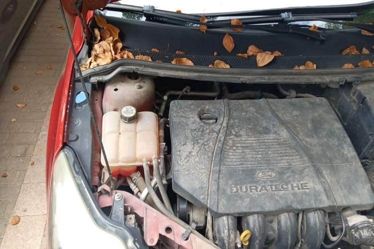 Used Ford Focus 2013 Hatchback Classic 1.8L Manual Fashion Edition Engine Bay Right
