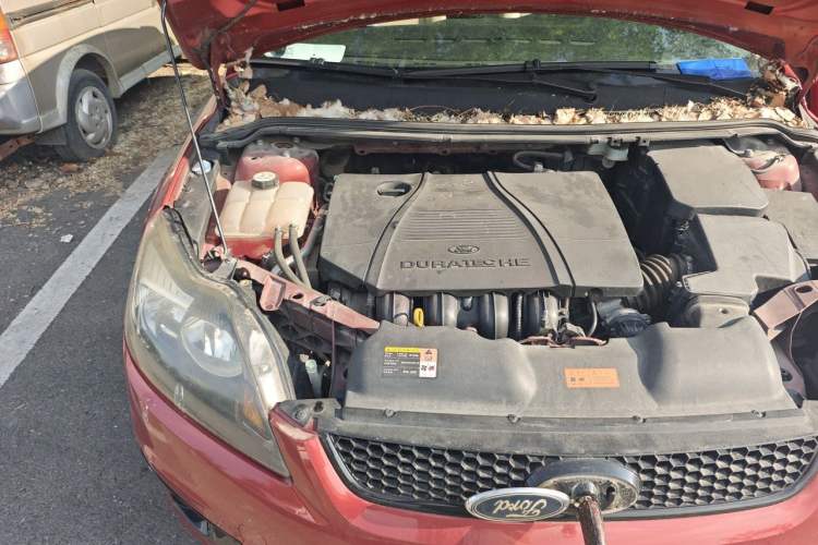 Used Ford Focus 2013 Hatchback Classic 1.8L Manual Fashion Edition Engine Bay Right