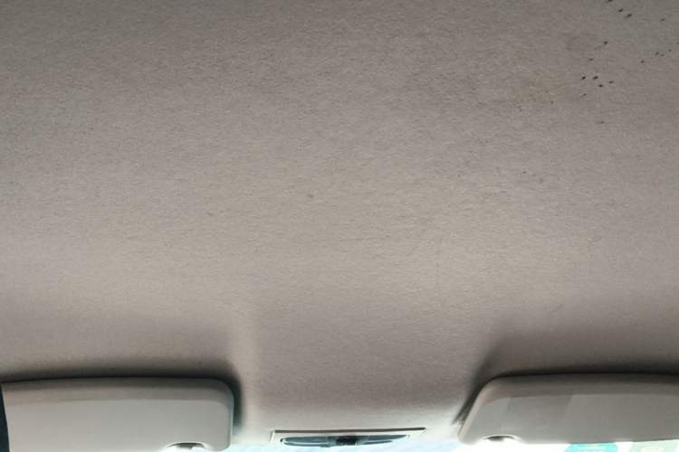 Used Ford Focus 2013 Hatchback Classic 1.8L Automatic Base Model Headliner