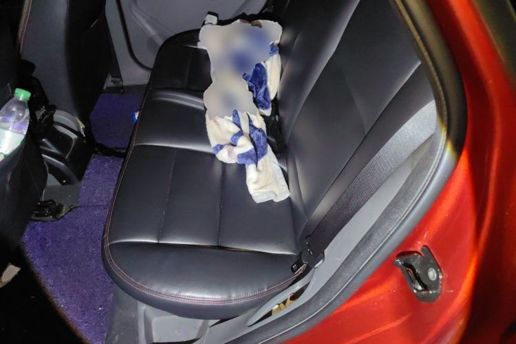 Used Ford Focus 2013 Hatchback Classic 1.8L Automatic Base Model Left Rear Seat