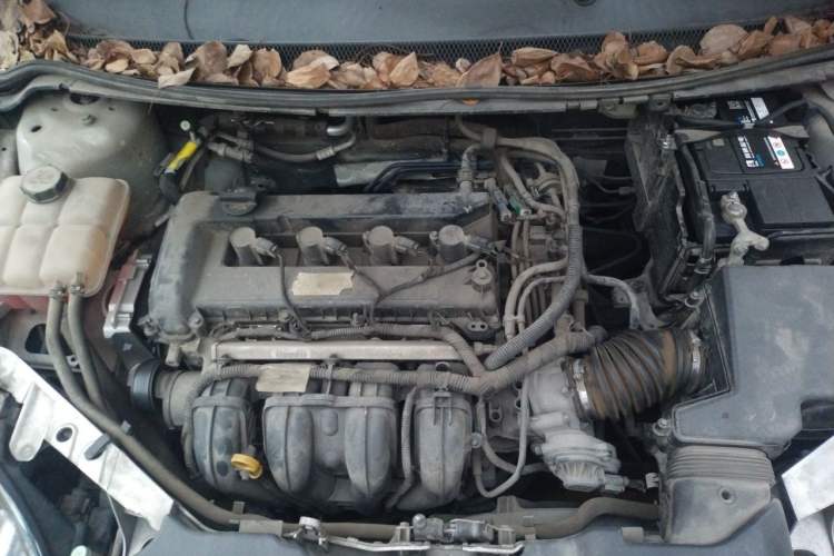 Used Ford Focus 2013 Hatchback Classic 1.8L Manual Base Model Engine Bay