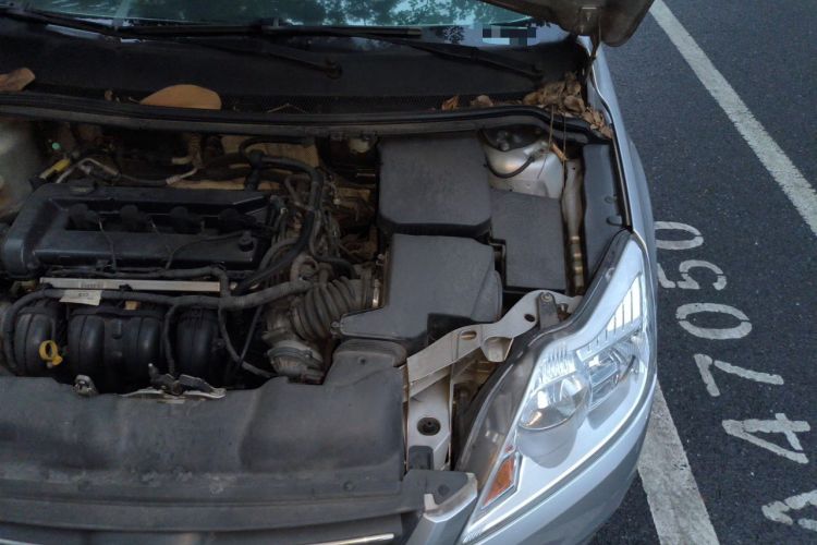 Used Ford Focus 2013 Sedan Classic 1.8L Automatic Base Model Engine Bay Left