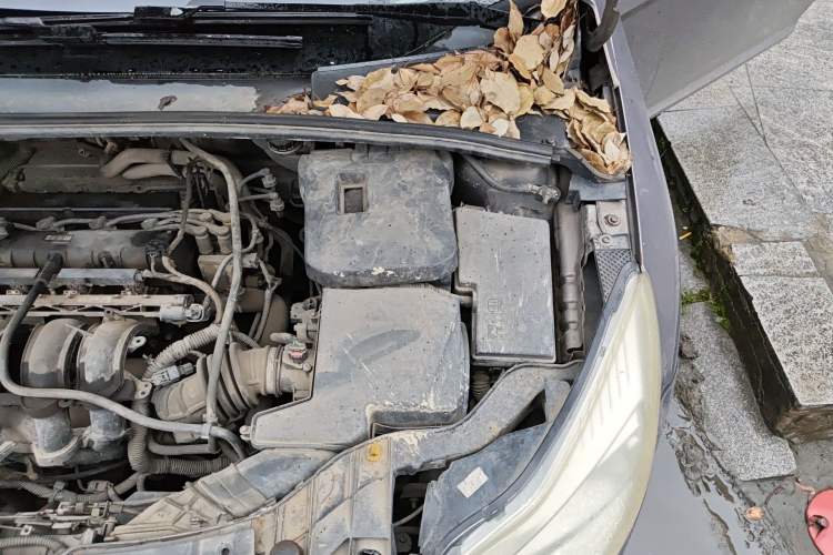 Used Ford Focus 2013 Sedan Classic 1.8L Manual Base Model Engine Bay Left