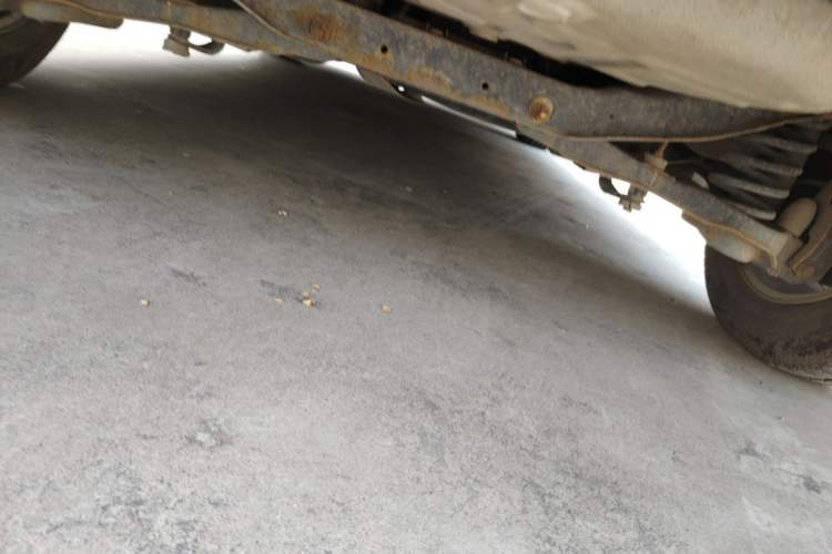Used Ford Focus 2013 Hatchback Classic 1.8L Automatic Fashion Edition Chassis Rear