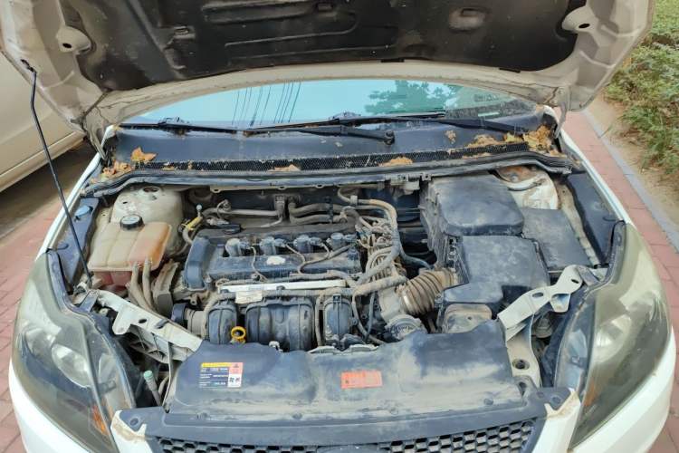 Used Ford Focus 2013 Hatchback Classic 1.8L Manual Base Model Engine Bay