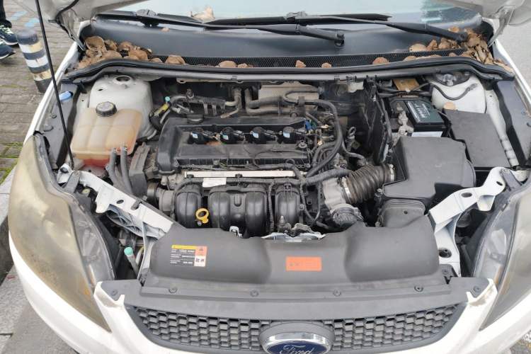 Used Ford Focus 2013 Hatchback Classic 1.8L Automatic Base Model Engine Bay