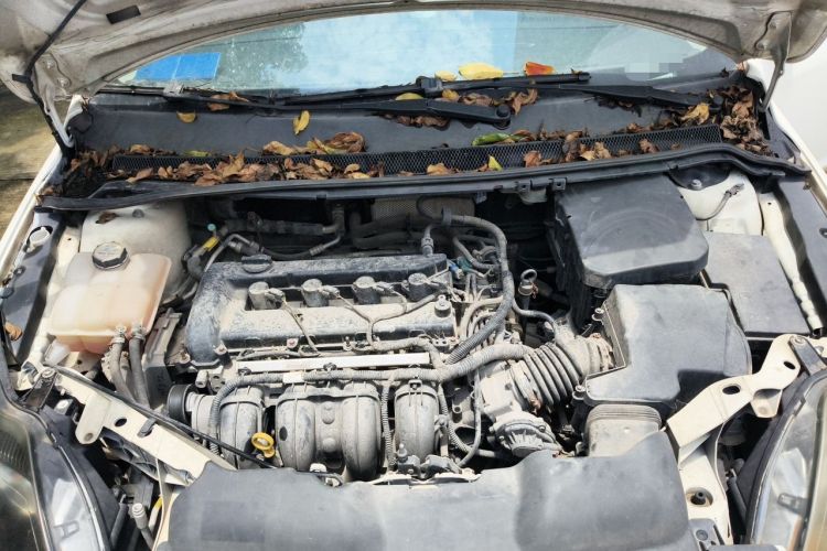 Used Ford Focus 2013 Hatchback Classic 1.8L Automatic Millionth Anniversary Edition Engine Bay