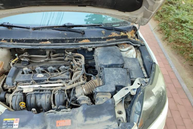 Used Ford Focus 2013 Hatchback Classic 1.8L Manual Base Model Engine Bay Left