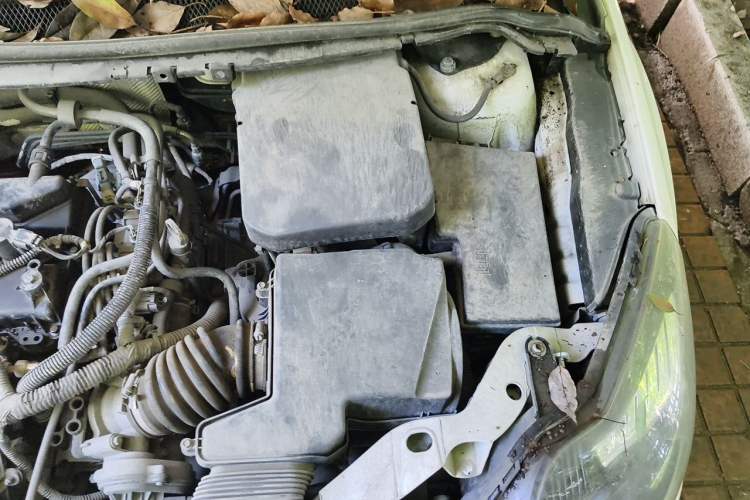 Used Ford Focus 2013 Hatchback Classic 1.8L Automatic Base Model Engine Bay Left