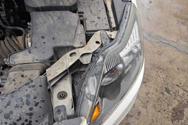 Used Ford Focus 2013 Hatchback Classic 1.8L Automatic Base Model Engine Bay Left