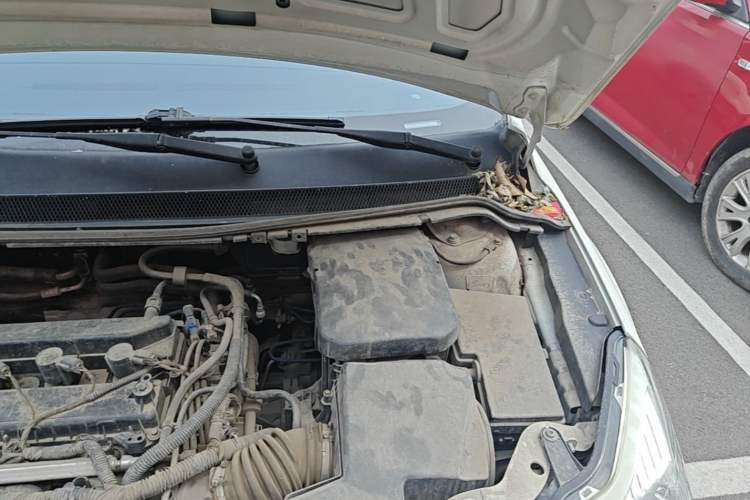 Used Ford Focus 2013 Sedan Classic 1.8L Manual Base Model Engine Bay Left