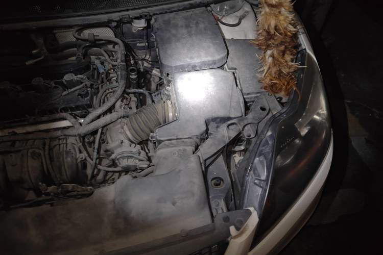 Used Ford Focus 2013 Hatchback Classic 1.8L Automatic Base Model Engine Bay Left