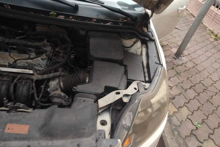 Used Ford Focus 2013 Hatchback Classic 1.8L Automatic Base Model Engine Bay Left