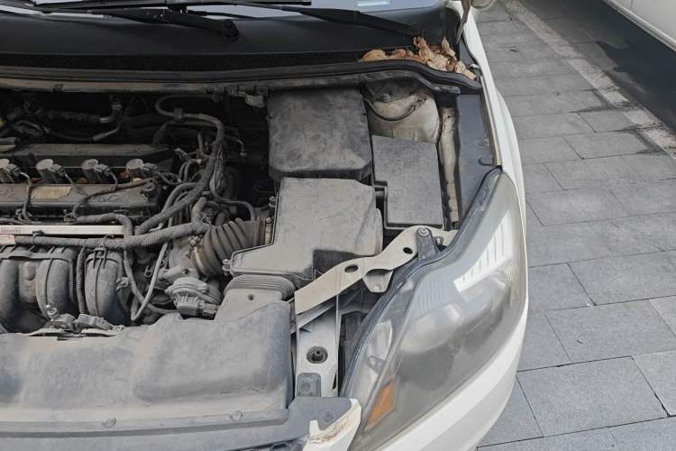 Used Ford Focus 2013 Hatchback Classic 1.8L Manual Base Model Engine Bay Left