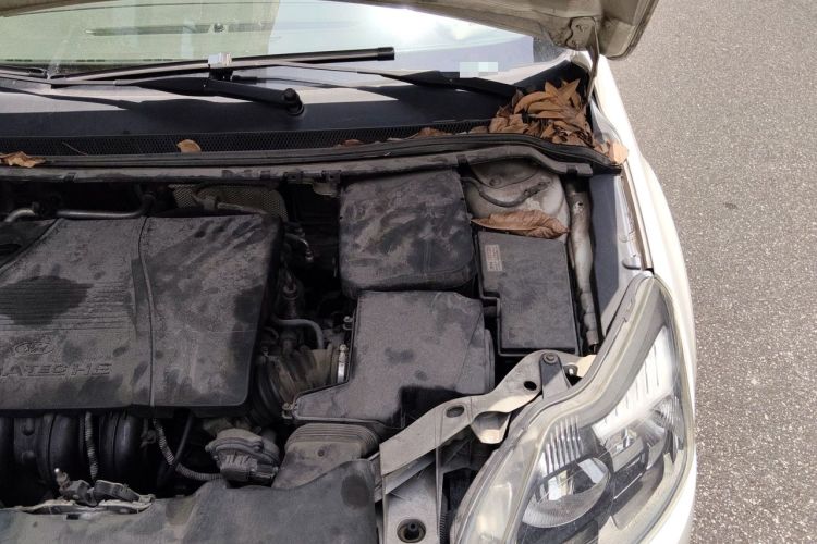 Used Ford Focus 2013 Hatchback Classic 1.8L Automatic Fashion Edition Engine Bay Left