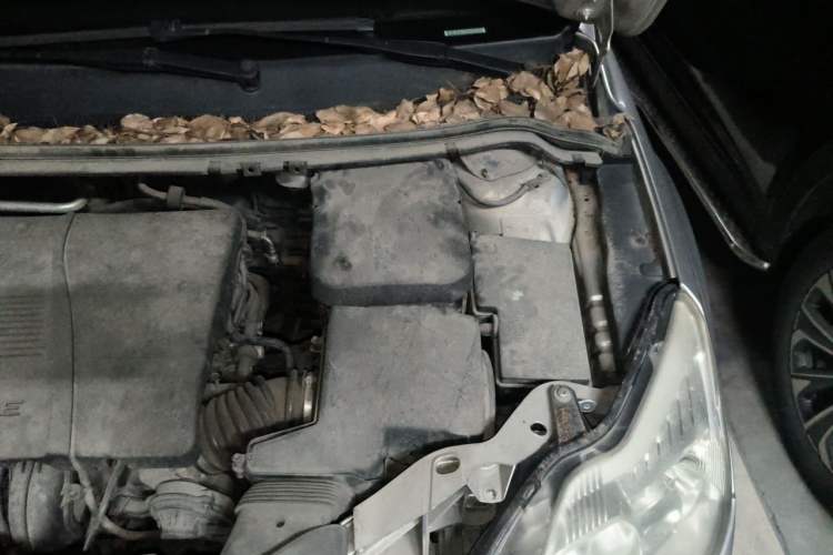 Used Ford Focus 2013 Sedan Classic 1.8L Manual Fashion Edition Engine Bay Left