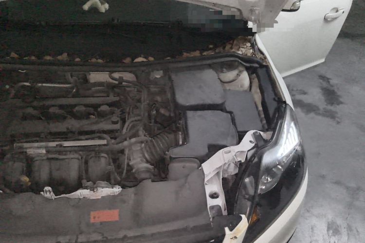 Used Ford Focus 2013 Hatchback Classic 1.8L Automatic Fashion Edition Engine Bay Left